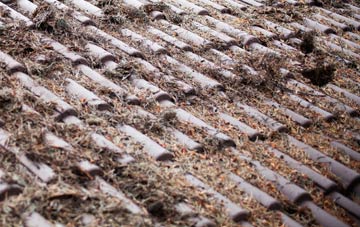 North Cray roof cleaning companies